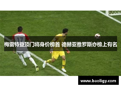 梅雷特登顶门将身价榜首 德赫亚雅罗斯亦榜上有名