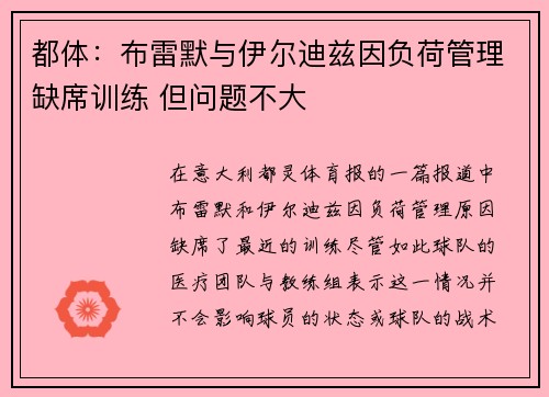 都体:布雷默与伊尔迪兹因负荷管理缺席训练 但问题不大
