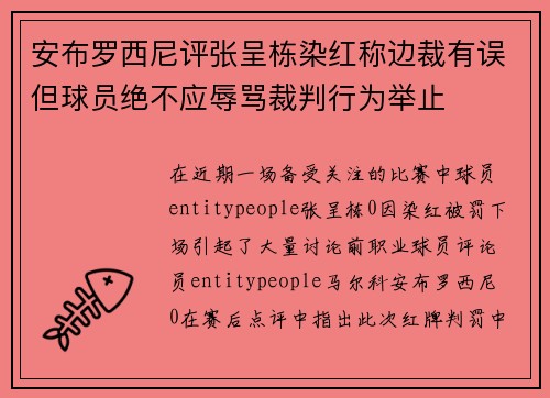 安布罗西尼评张呈栋染红称边裁有误但球员绝不应辱骂裁判行为举止 安布罗西尼评张呈栋染红称边裁有误但球员绝不应辱骂裁判行为举止